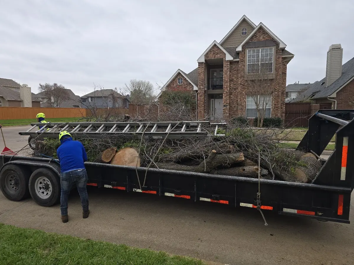 Expert Tree Fertilization with proper safety equipment in Ellston